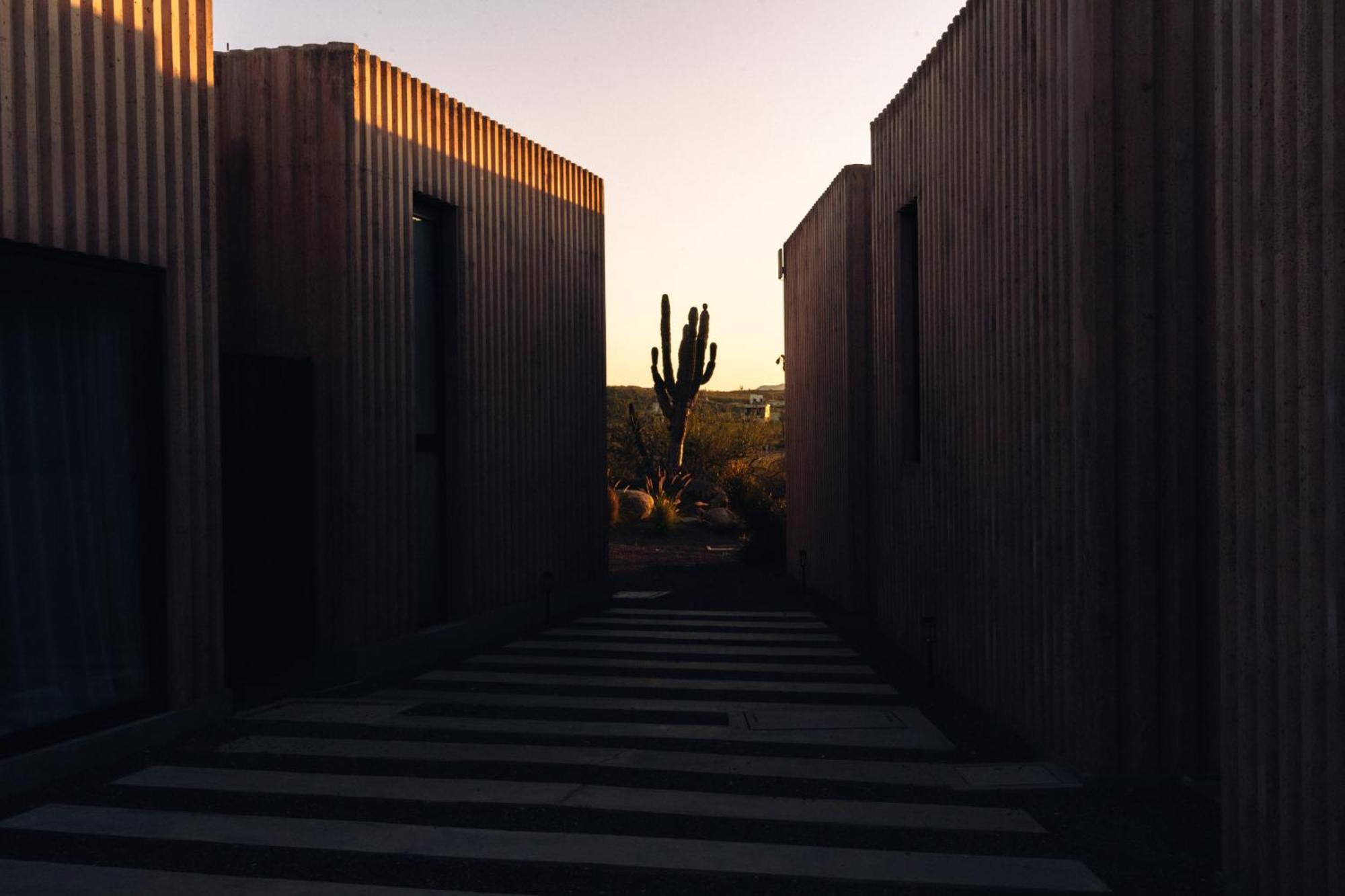 Casa Santos Hotel Todos Santos Eksteriør billede