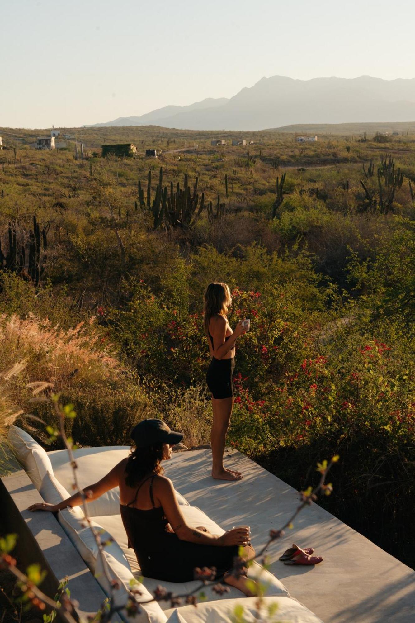 Casa Santos Hotel Todos Santos Eksteriør billede